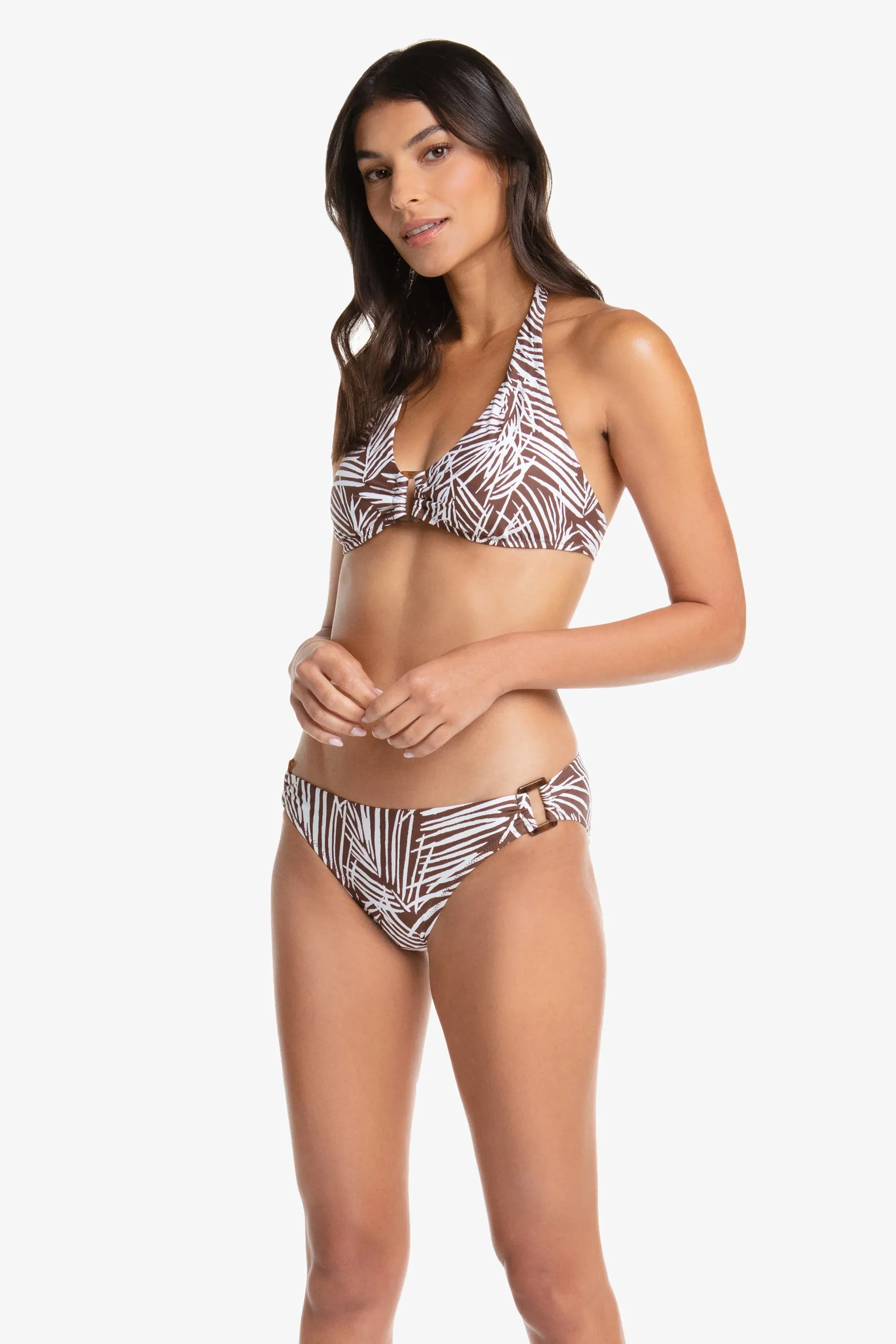 Tortoise Hipster  |  Paradise Palm